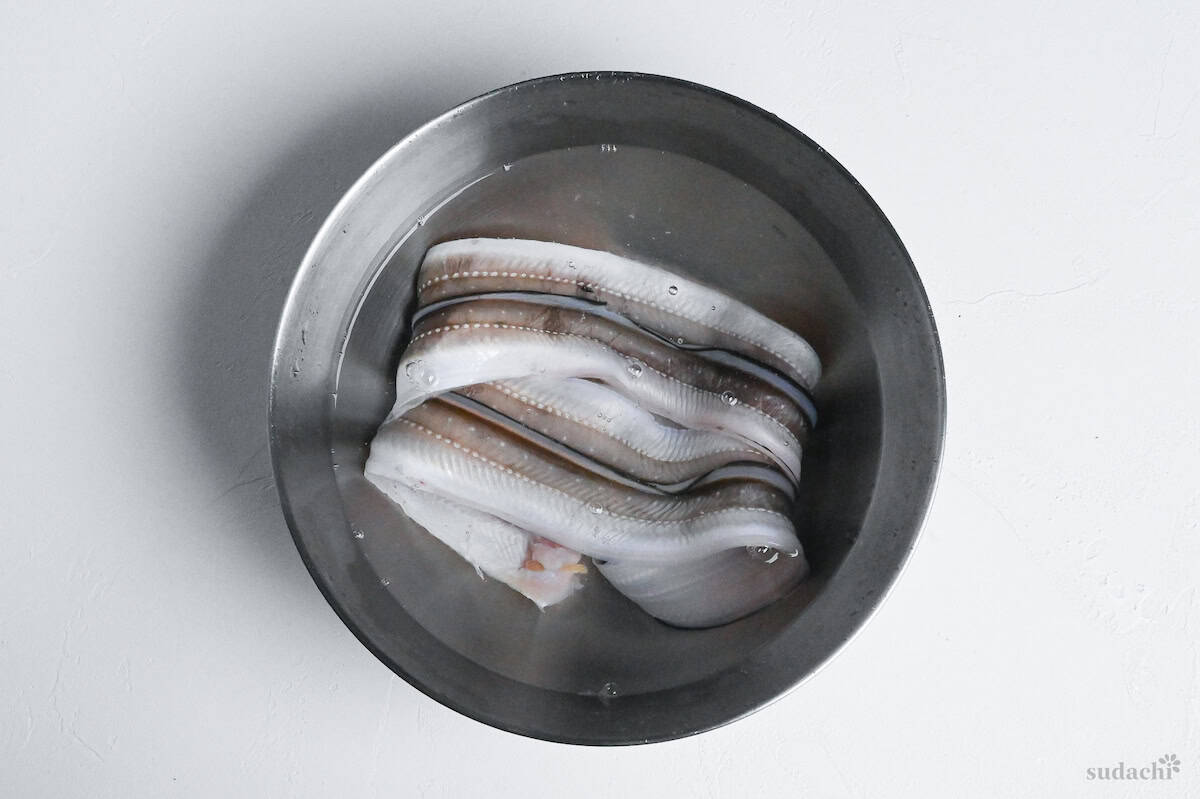 conger eel in a bowl of water on a white background
