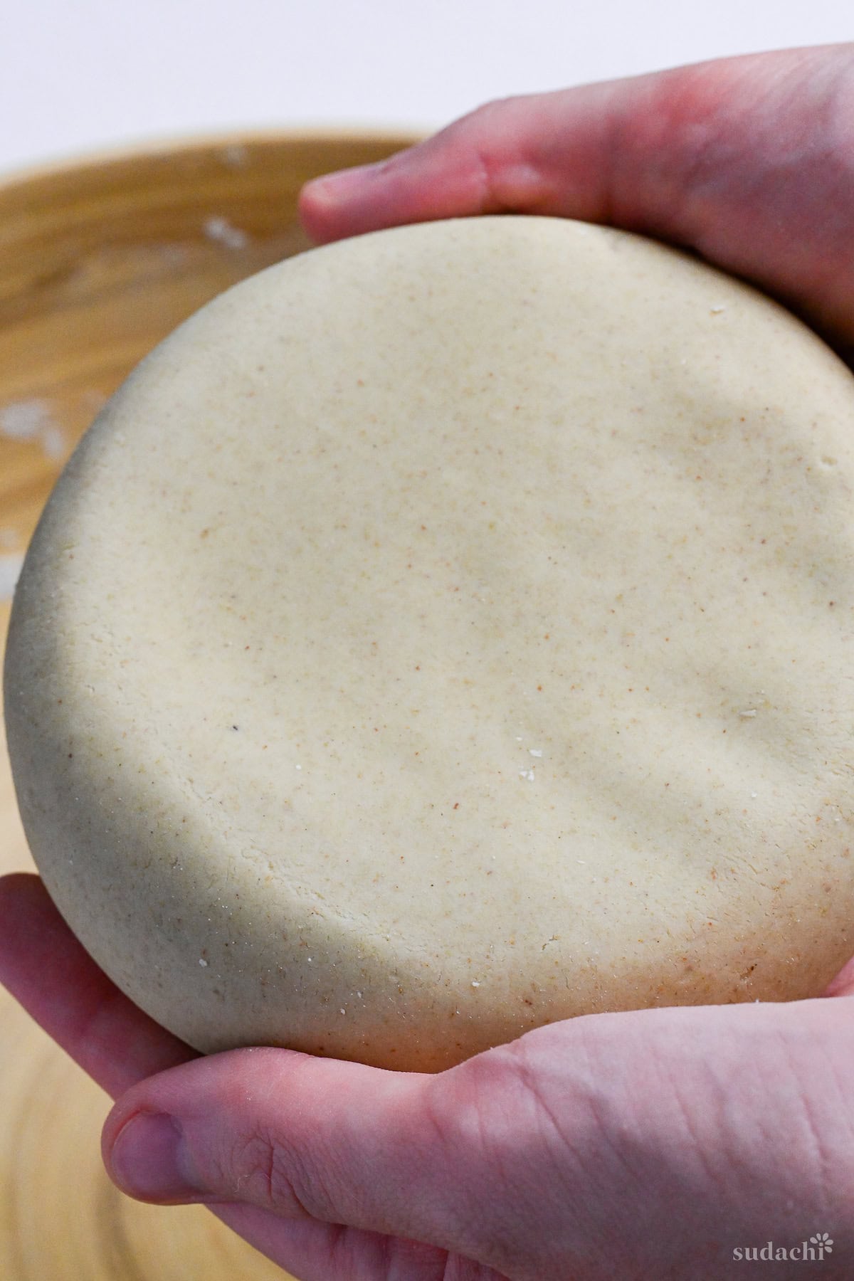 a smooth disc of kneaded soba noodle dough