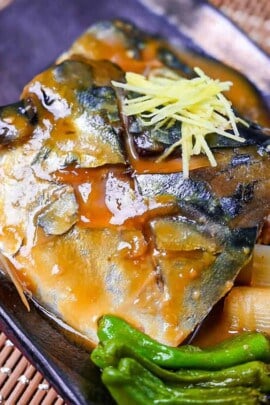 miso simmered mackerel thumbnail