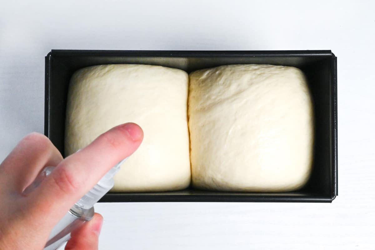 spritzing the top of nama shokupan with water