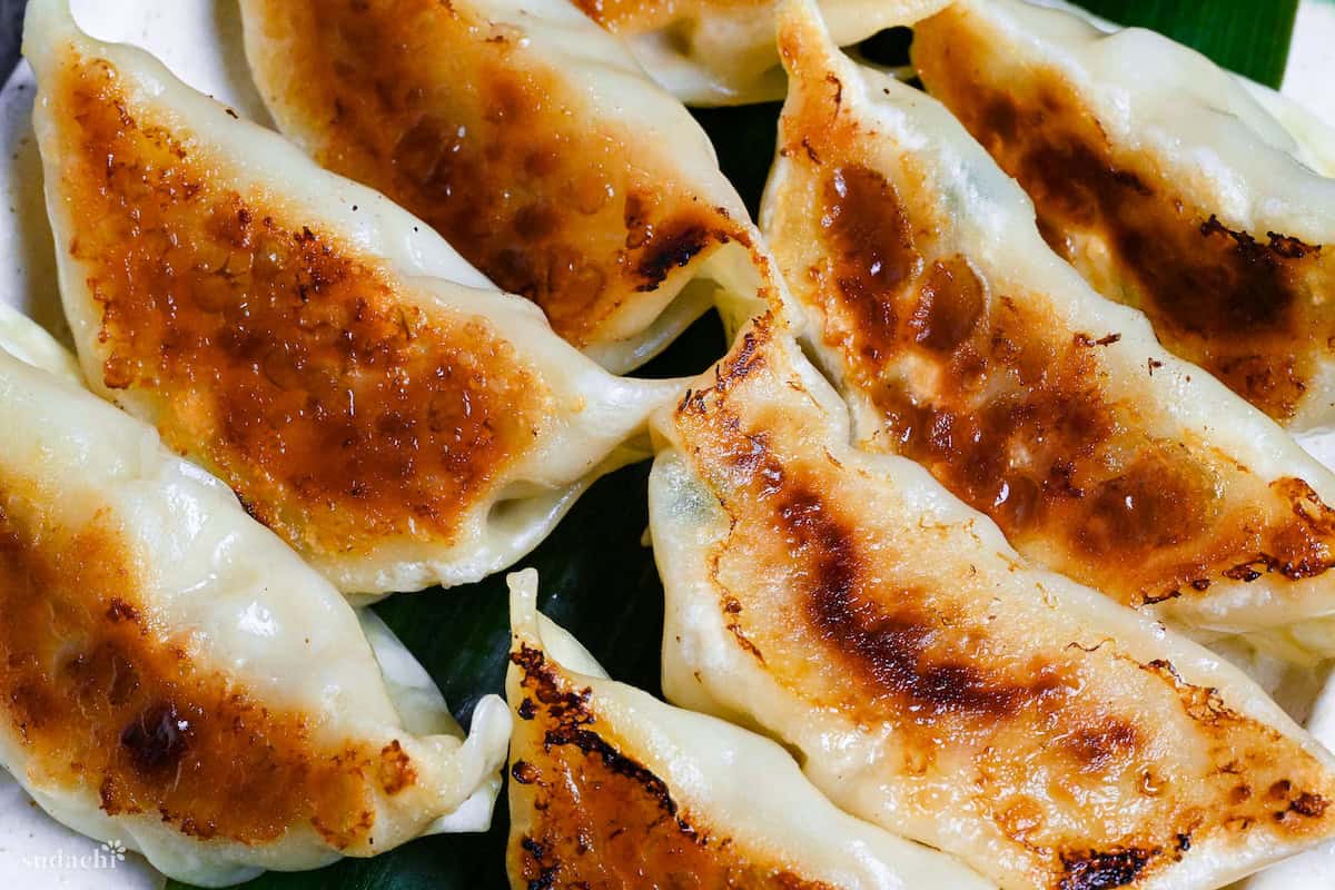 close up of 8 pan-fried pork gyoza with crispy base on a cream colored plate