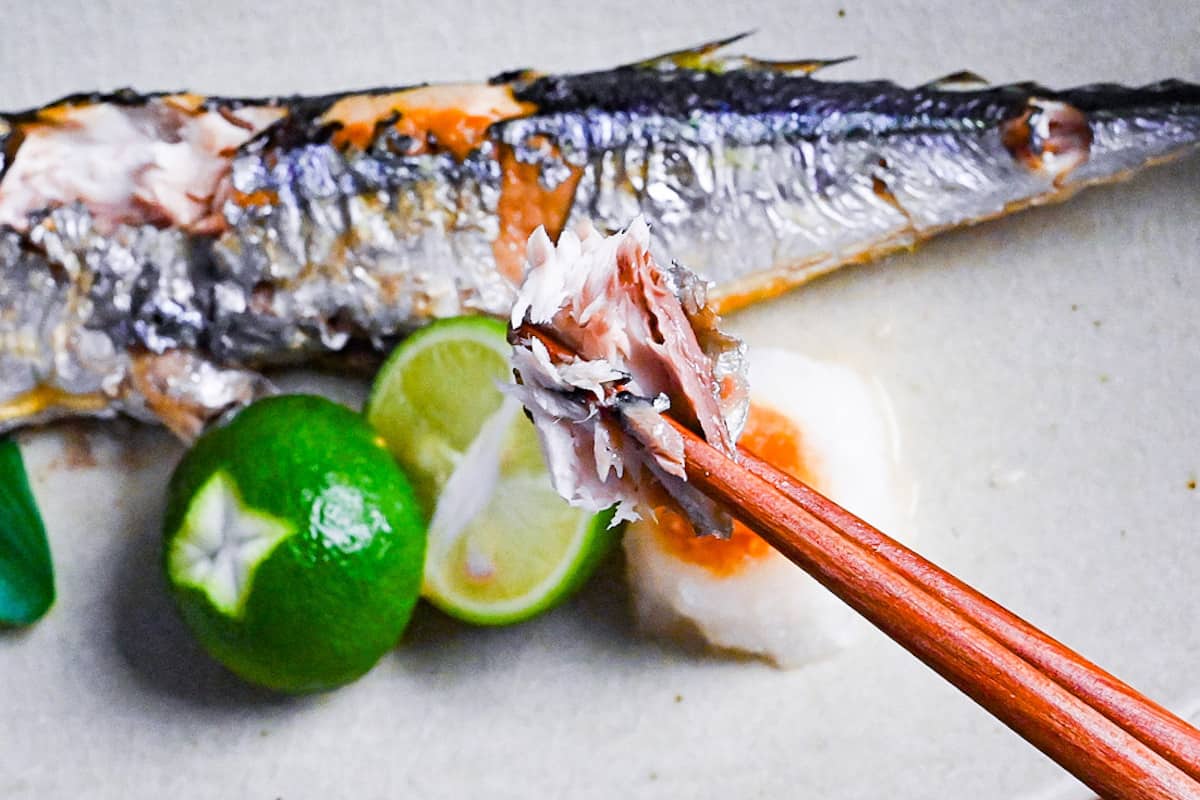 close up of grilled pacific saury meat held with wooden chopsticks