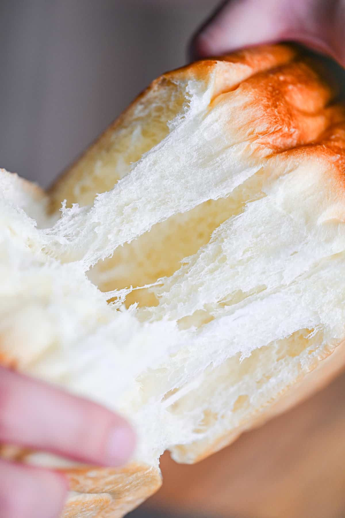 pulling apart nama shokupan to show fluffy interior