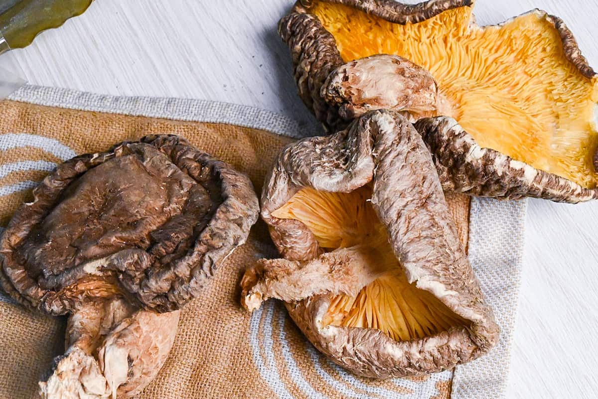 3 dried shiitake mushrooms on a brown and white tea towel with onion design
