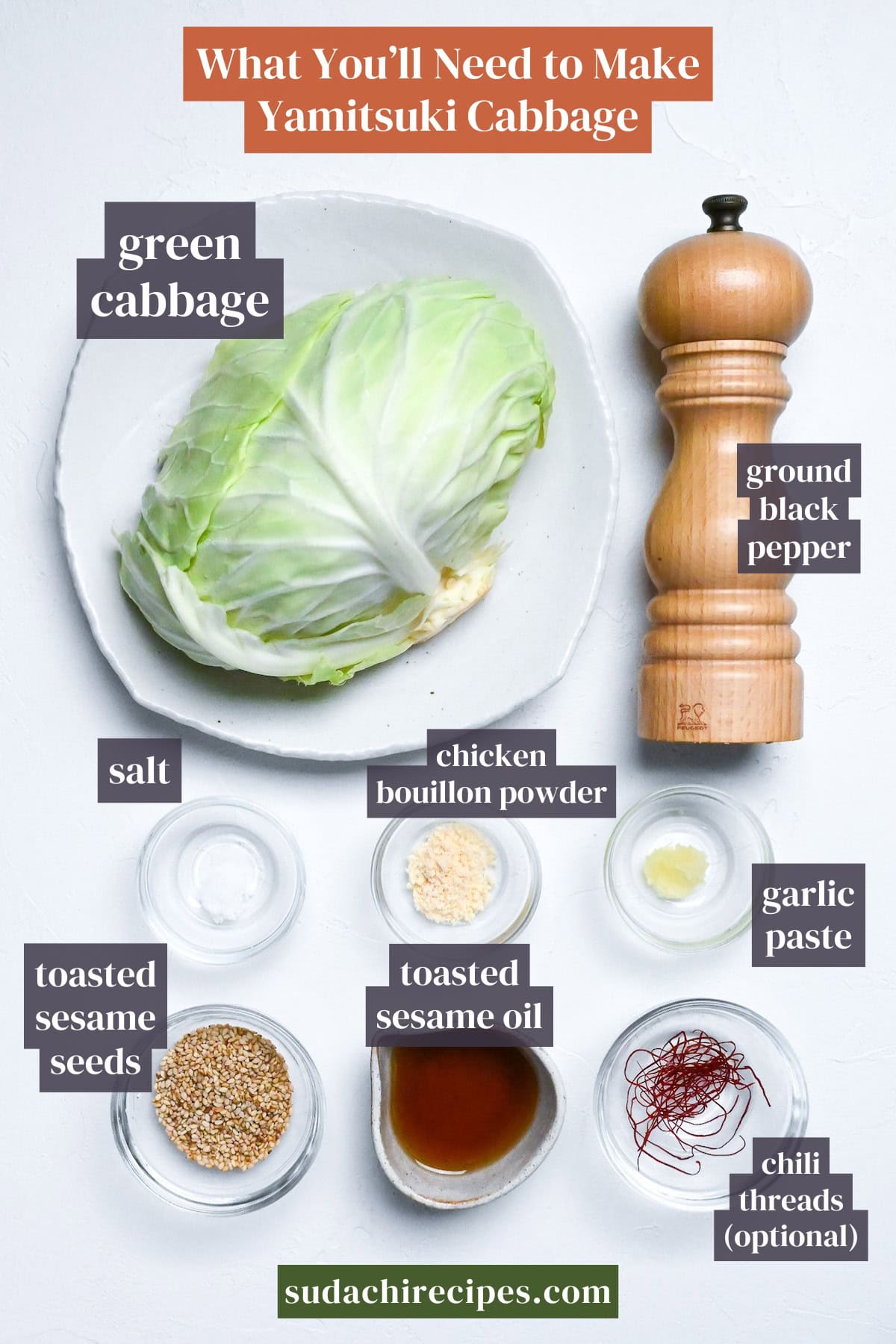 Ingredients needed to make izakaya style yamitsuki addictive cabbage on a white background with labels. From top to bottom, left to right: green cabbage, ground black pepper, salt, chicken bouillon powder, garlic paste, toasted sesame seeds, toasted sesame oil, chili threads