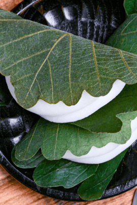 two kashiwa mochi wrapped with oak leaves on a black wooden plate on a wooden background