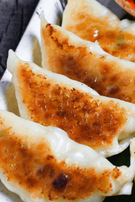 8 pan-fried pork gyoza with crispy base on a cream colored plate