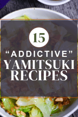 Yamitsuki recipes round up thumbnail with mugen cabbage in the background